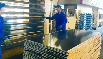 金亨木業有限公司建筑模板